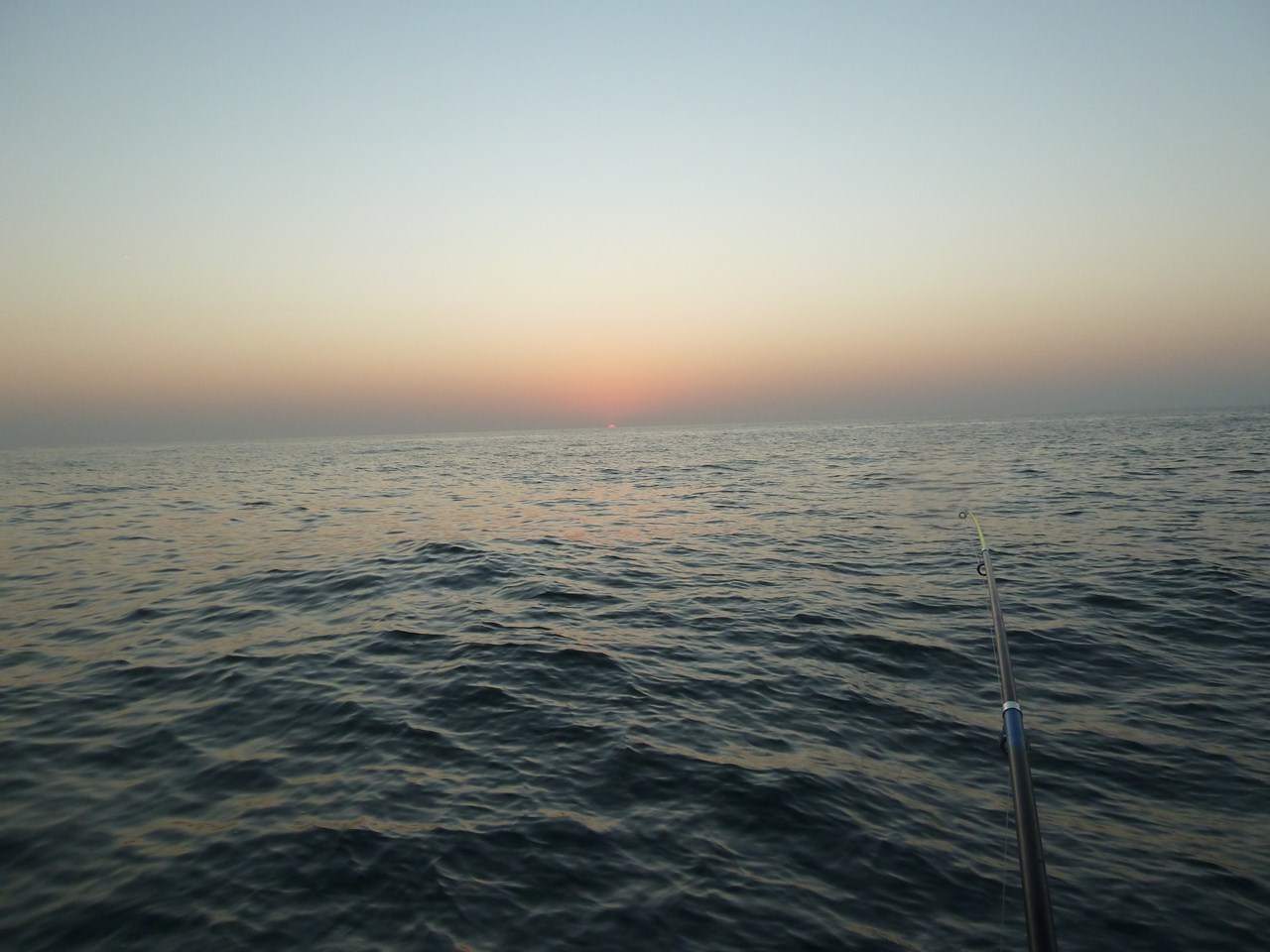 http://www.shintoko.jp/engblog/archives/images/2011/10/111028_qatarfishing937.jpg